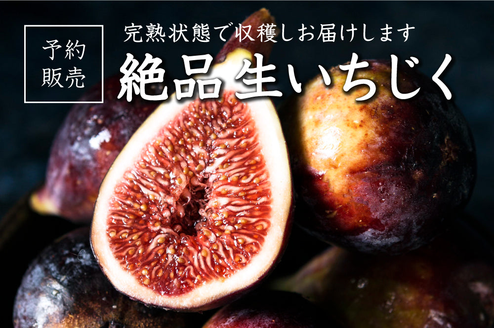 予約販売】絶品生いちじく ご予約受付中です！ – あかね農園 公式