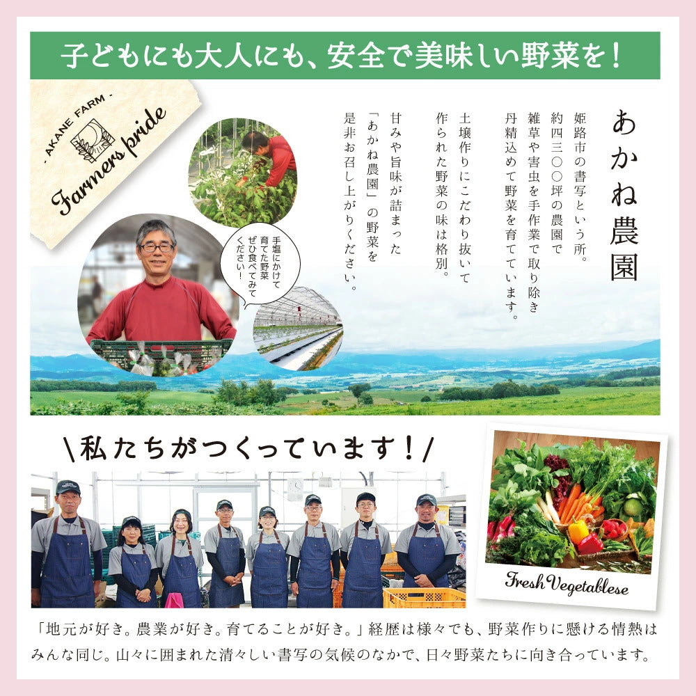 自家製セミドライいちじく 80g|送料込