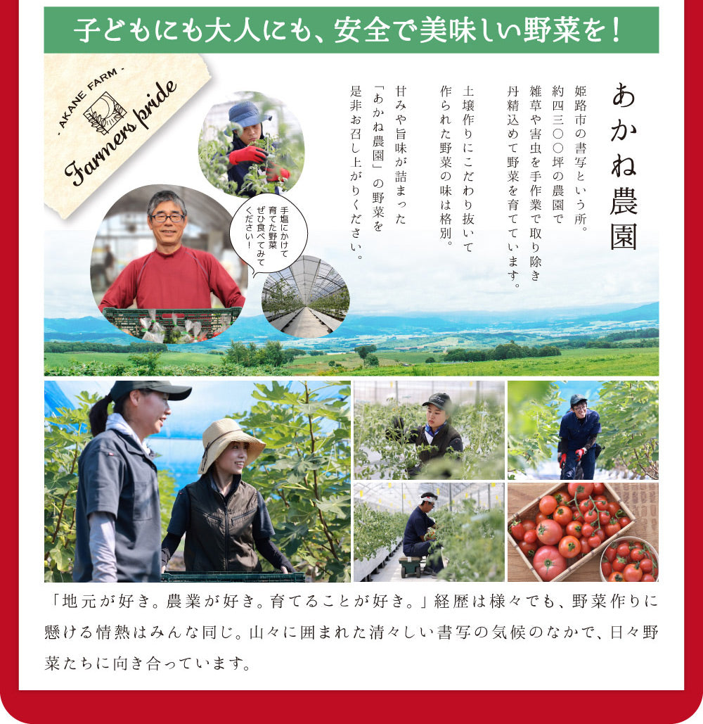 無農薬・有機肥料栽培|プレミアムトマト|送料込・産地直送