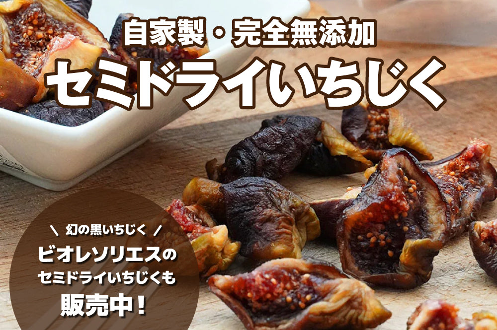 【旨味・栄養をギュッと凝縮！】自家製セミドライいちじく好評販売中！