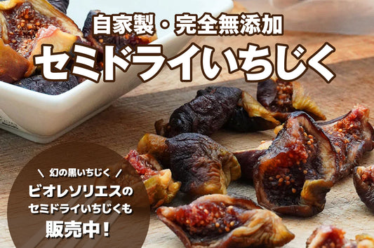【旨味・栄養をギュッと凝縮！】自家製セミドライいちじく好評販売中！