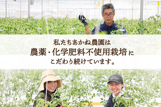 いつもあかね農園をご利用いただきありがとうございます！