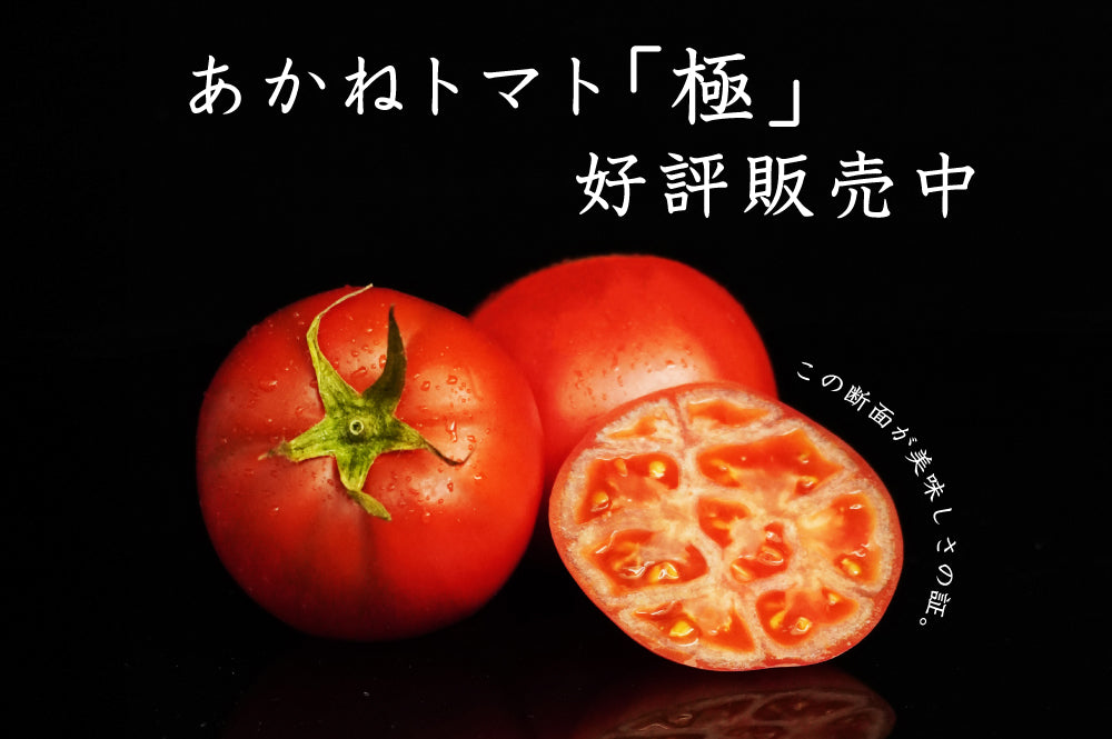 あかねトマト「極」が大好評販売中