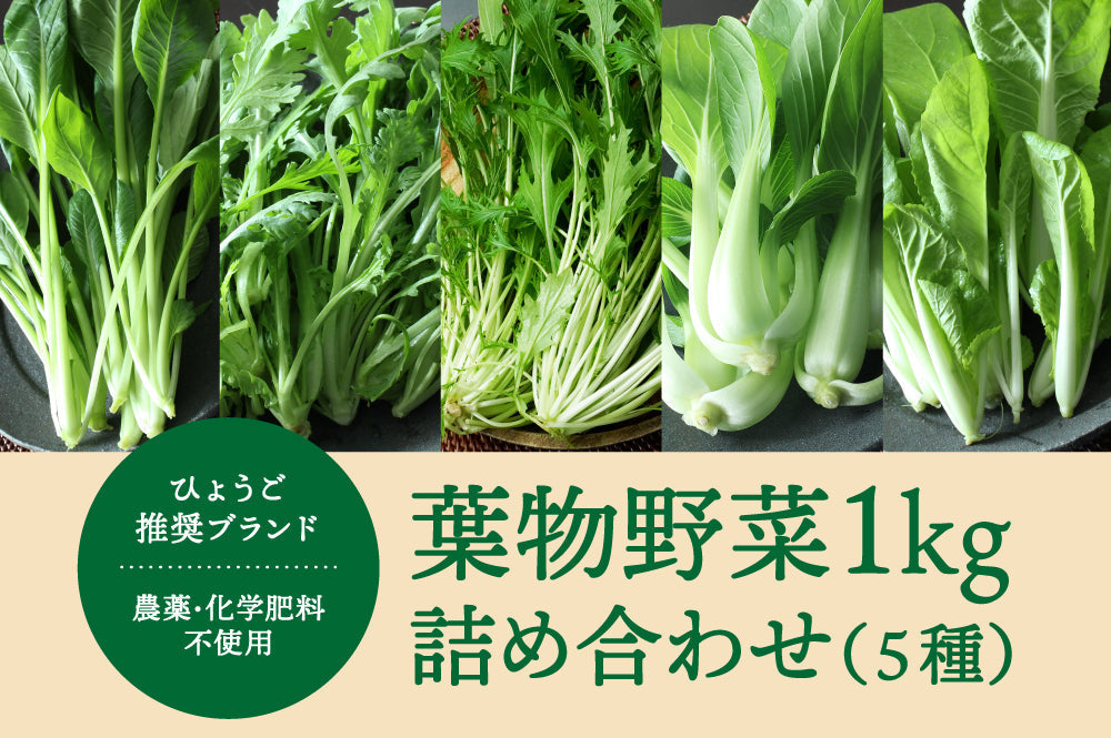 【農薬・化学肥料不使用】葉物野菜1kg詰め合わせ好評販売中！