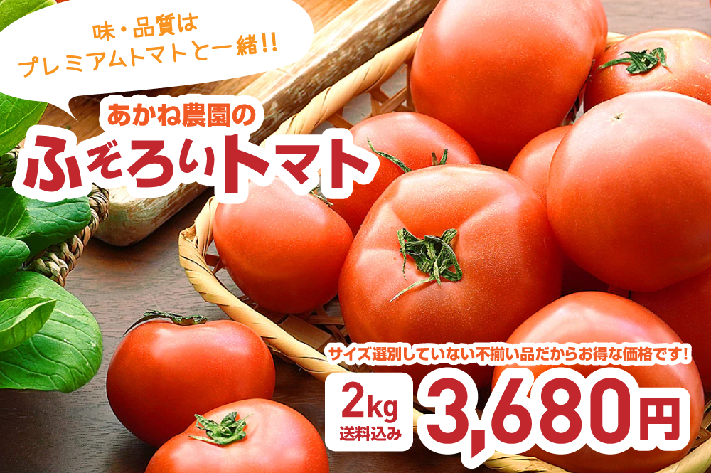 【ふぞろいトマト】農薬化学肥料不使用、ふぞろいトマトが好評販売中！