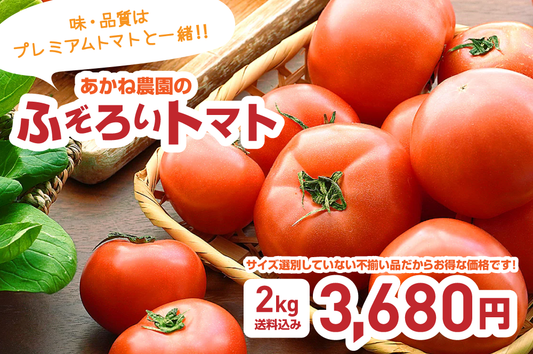 【ふぞろいトマト】農薬化学肥料不使用、ふぞろいトマトが好評販売中！