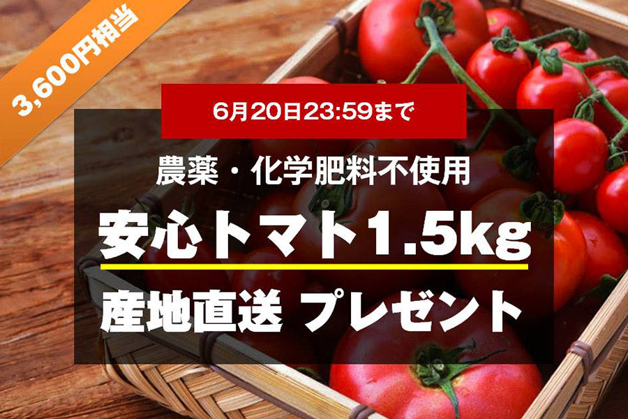twitterアカウント開設記念プレゼントキャンペーン