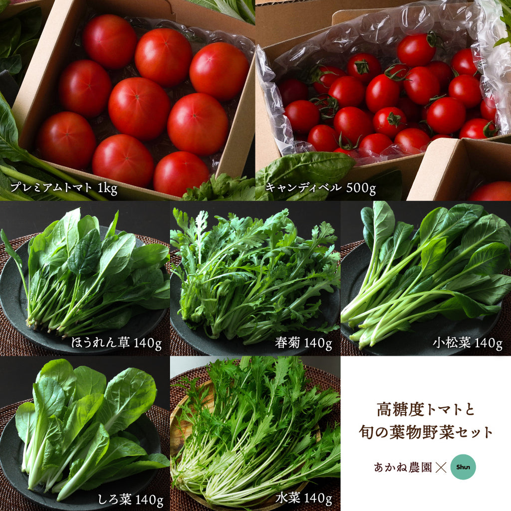 あかね農園✕Shun 限定コラボ - 高糖度トマトと旬の葉物野菜セット｜農薬・化学肥料不使用｜産地直送