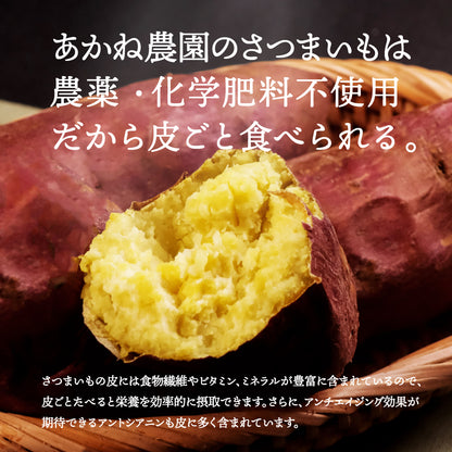 【期間限定販売】さつまいも (紅はるか) 2kg｜農薬・化学肥料不使用｜ 送料込・産地直送