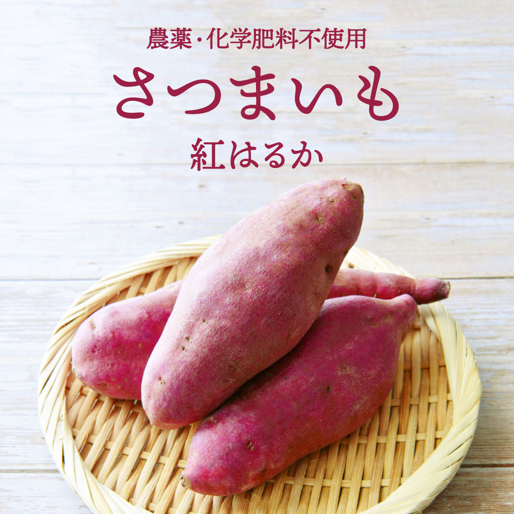 【期間限定販売】さつまいも (紅はるか) 2kg｜農薬・化学肥料不使用｜ 送料込・産地直送
