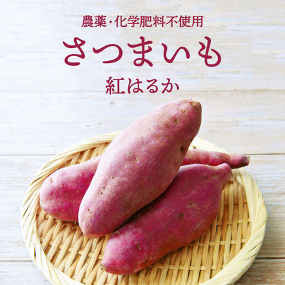 【期間限定販売】さつまいも (紅はるか) 2kg｜農薬・化学肥料不使用｜ 送料込・産地直送