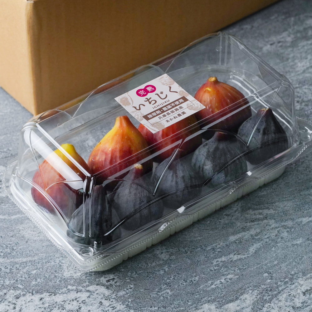絶品 生いちじく（桝井ドーフィン）＆幻の黒いちじく ブラックダイヤモンド　食べ比べセット