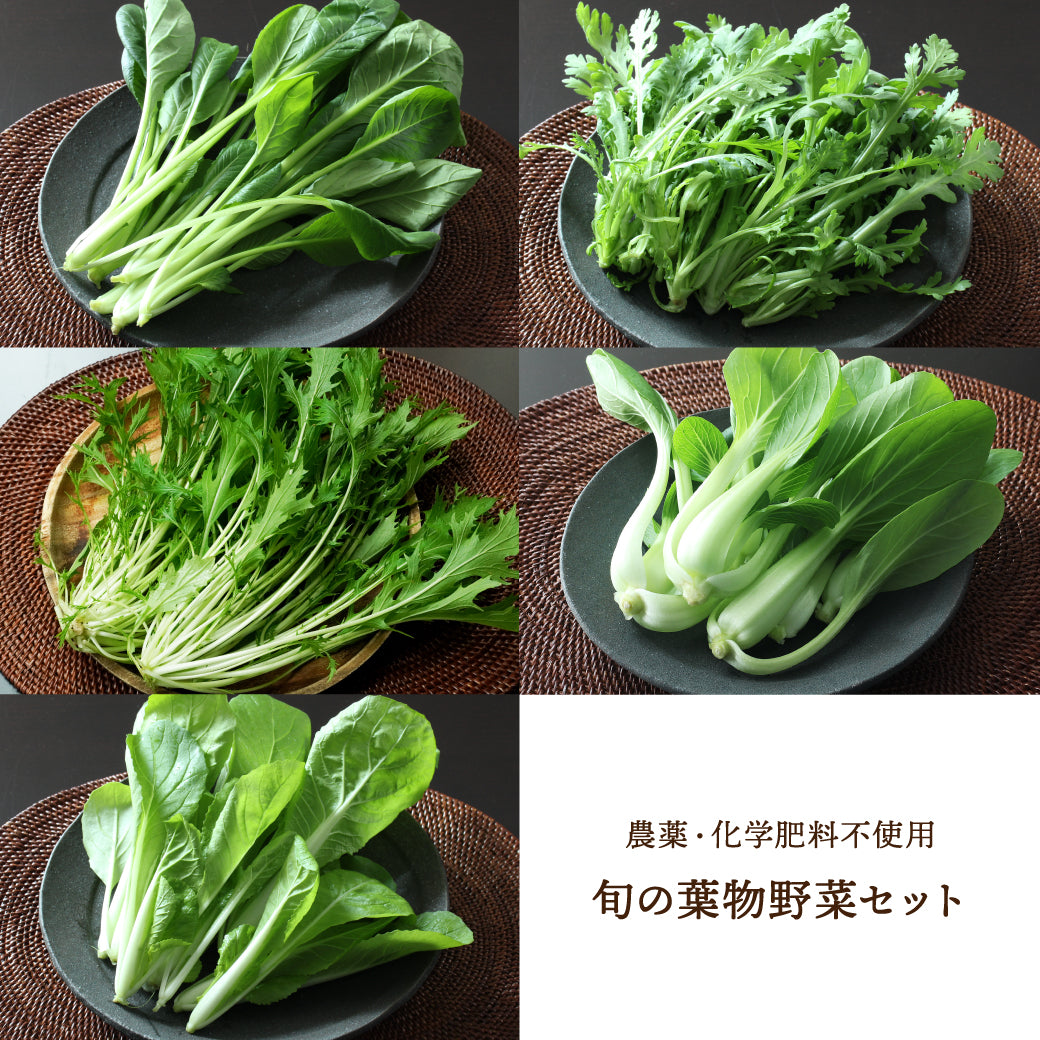 葉物野菜1kg詰め合わせ（5種）｜農薬・化学肥料不使用｜産地