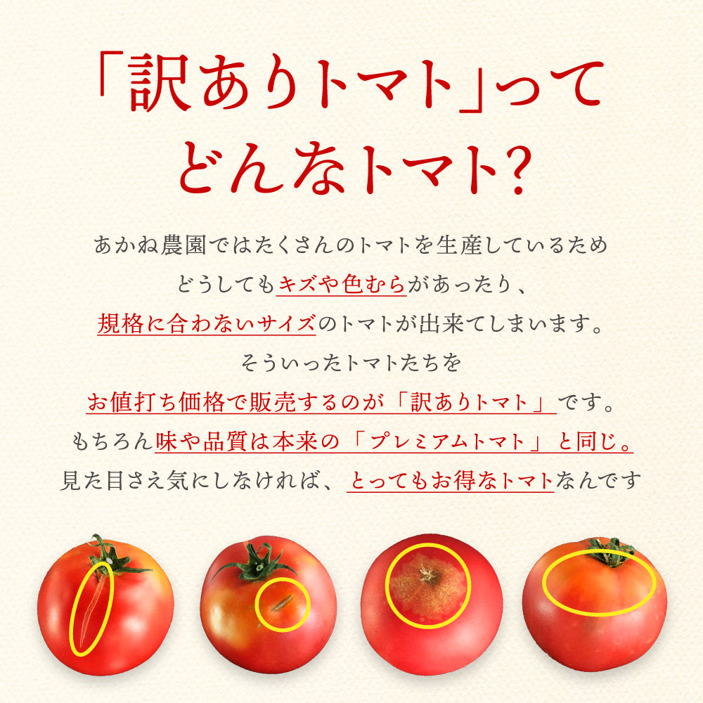 無農薬・有機肥料栽培｜プレミアムトマト（訳ありトマト）2kg｜送料込・産地直送