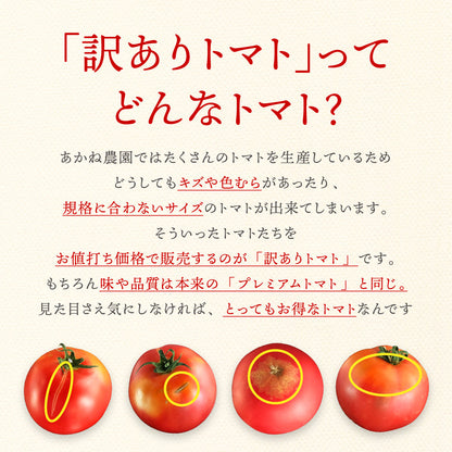 無農薬・有機肥料栽培｜プレミアムトマト（訳ありトマト）2kg｜送料込・産地直送