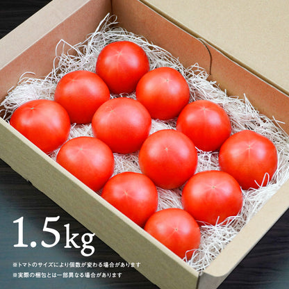 無農薬・有機肥料栽培｜プレミアムトマト｜送料込・産地直送