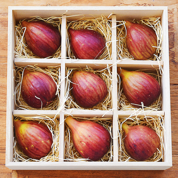 fca71f96fdfe96715897f4ac249819