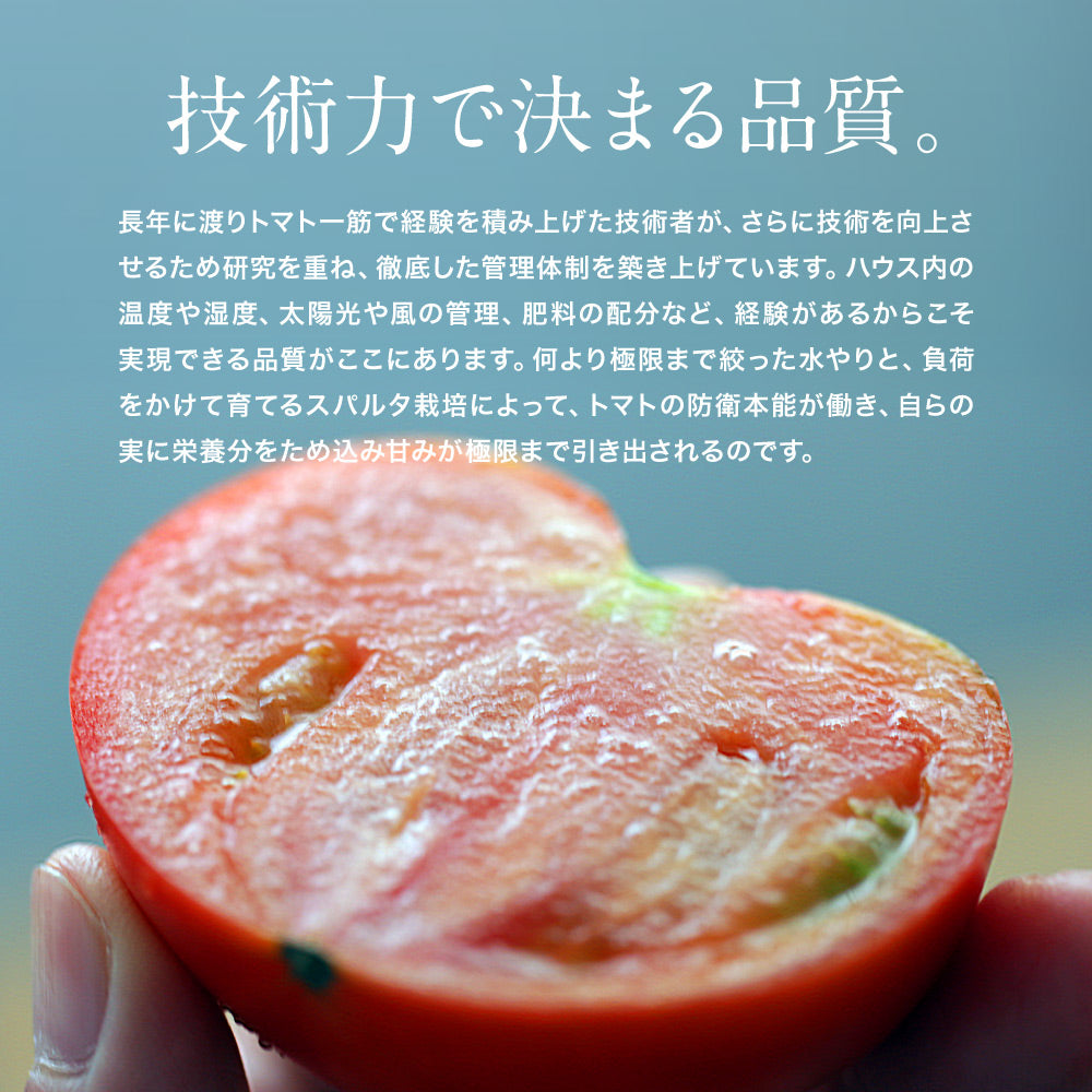 農薬・化学肥料不使用｜プレミアムトマト（ふぞろい）2kg｜送料込・産地直送