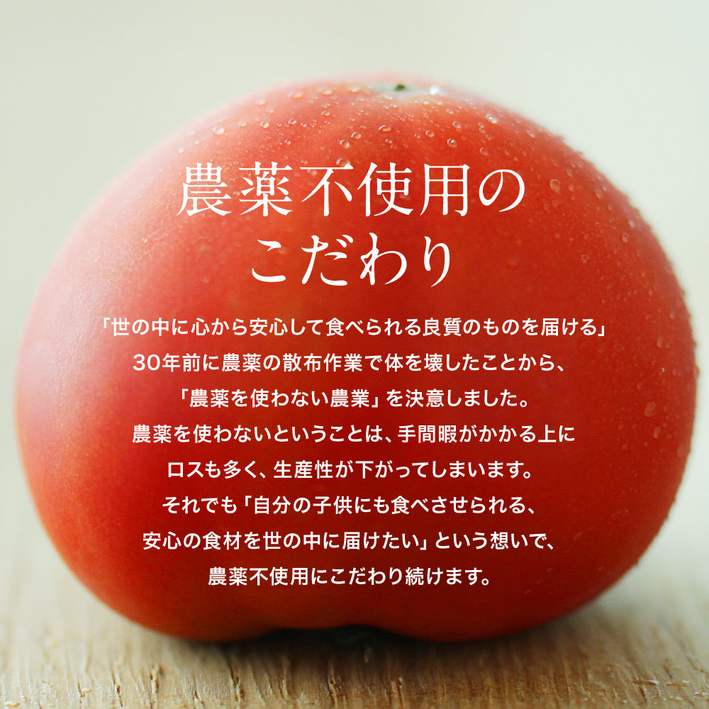 無農薬・有機肥料栽培｜プレミアムトマト｜送料込・産地直送