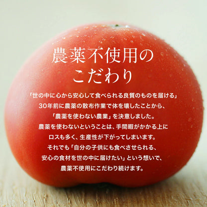 【農薬・化学肥料不使用】小松菜 1kg