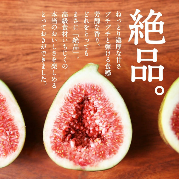 The Mt Etna fig Family ( Hardy Chicago)タイプの種類と特徴