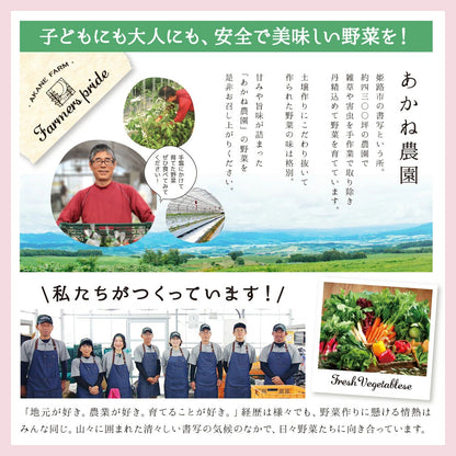【予約販売】ロイヤルガーネット（桝井ドーフィン）｜絶品 生いちじく