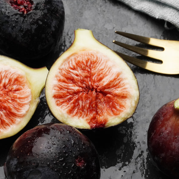 幻の黒いちじく ブラックダイヤモンド（ビオレソリエス） – あかね農園