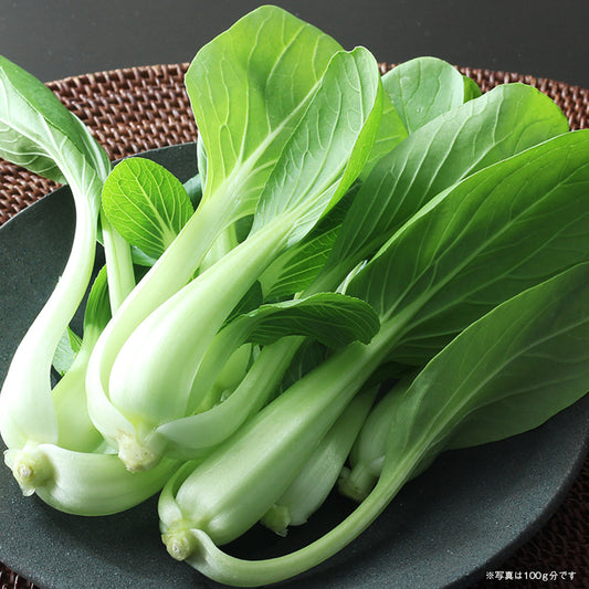 【農薬・化学肥料不使用】チンゲン菜 1kg