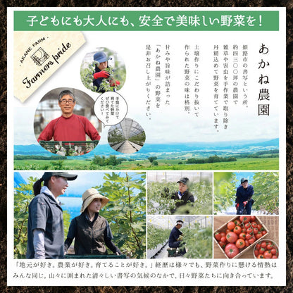 【予約販売】ロイヤルガーネット（桝井ドーフィン）｜特級 生いちじく 贈答用桐箱入（9個入）