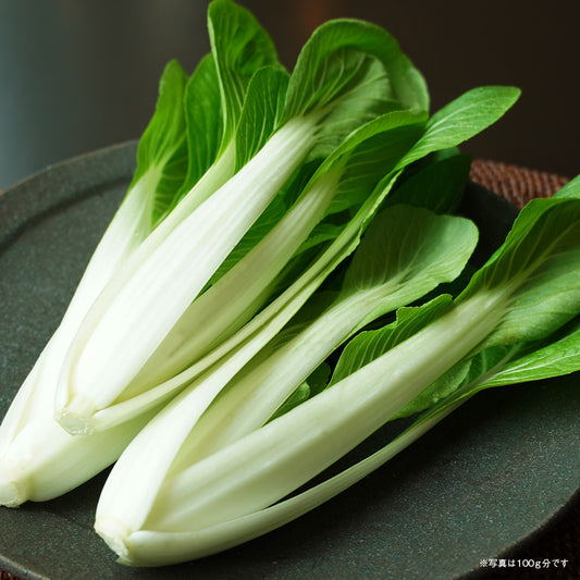 【農薬・化学肥料不使用】しろ菜 1kg