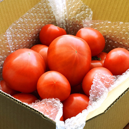 無農薬・有機肥料栽培｜プレミアムトマト（ふぞろい）2kg｜送料込・産地直送