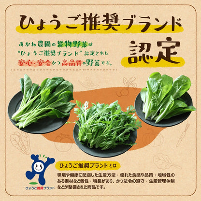 葉物野菜１kg詰め合わせ（５種）｜農薬・化学肥料不使用｜産地直送