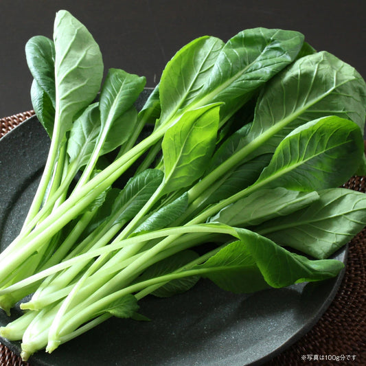 【農薬・化学肥料不使用】小松菜 1kg