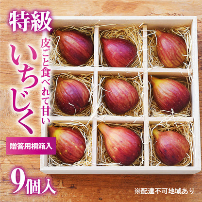 【予約販売】ロイヤルガーネット（桝井ドーフィン）｜特級 生いちじく 贈答用桐箱入（9個入）
