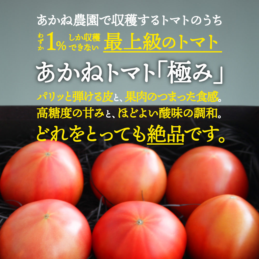 あかねトマト「極」｜送料込・産地直送