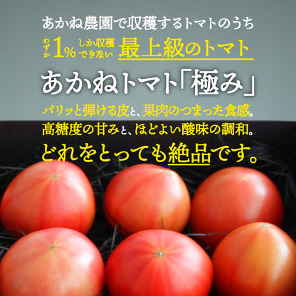 あかねトマト「極」｜送料込・産地直送