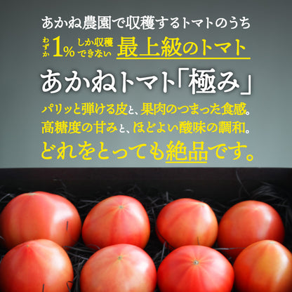 あかねトマト「極」贈答用桐箱入（9個入）｜送料込・産地直送