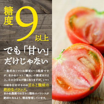 あかねトマト「極」｜送料込・産地直送